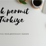 Obtaining a work permit in Turkey