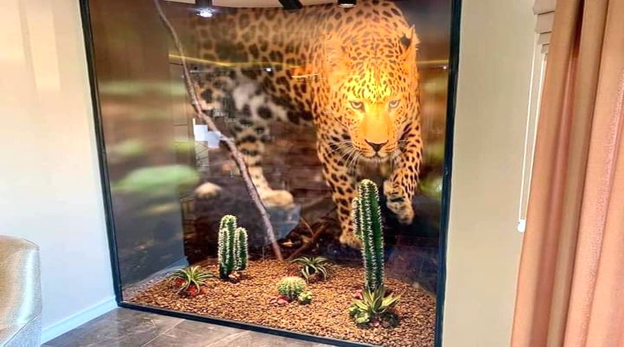 RealtorYakupUslu-IDEAL&Partners-realestate4-bedroom-apartment-for-sale-villa-kargicak-seaview-properties-zuverkaufen-tillsaluAlanya009